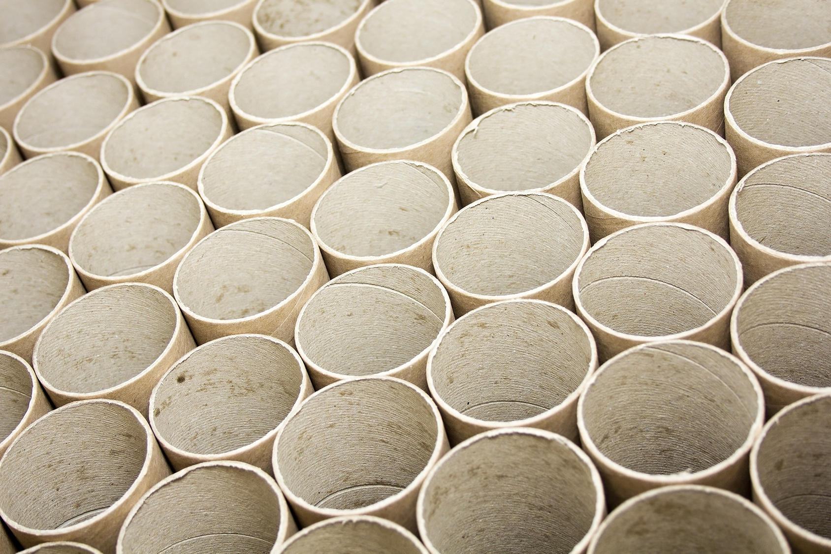 Cardboard